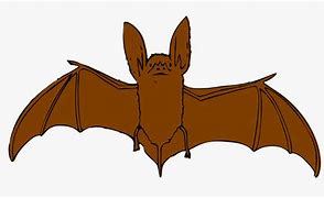 Image result for Brown Bat Clip Art