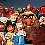 Image result for Crazy Harry Muppet Puppet