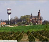 Image result for chełmce
