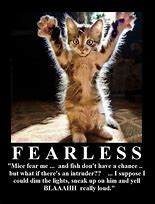 Image result for Funny Fearless Quotes