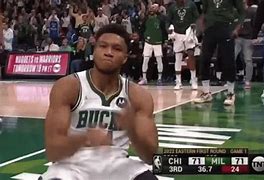 Image result for Giannis Rookie