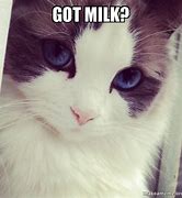 Image result for Got Milk Meme Sticker
