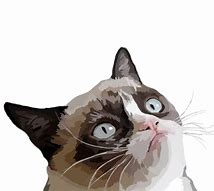 Image result for Grumpy Cat Illustration