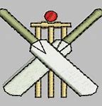 Image result for Cricket Bat Pattern