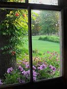 Image result for Window Garden View