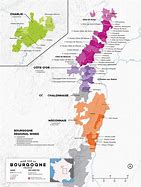 Image result for Burgundy Wine Region