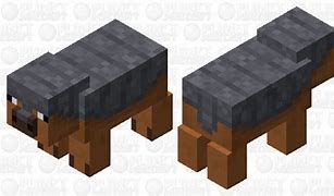 Image result for Minecraft Armadillo Transparent Background