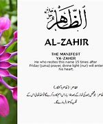 Image result for co_oznacza_zahir_islam