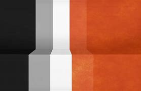Image result for Black Orange White Singlet
