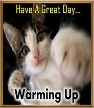Image result for Have a Good Day Cat Meme