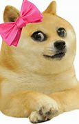 Image result for Doge Meme Female