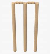 Image result for Cricket Wicket