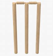 Image result for Artificial Cricket Wicket