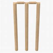 Image result for Cricket Wicket Pictures PDF