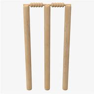 Image result for Cricket Wicket Catapult