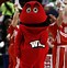 Image result for College Mascots