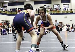 Image result for Wisconsin Youth State Wrestling