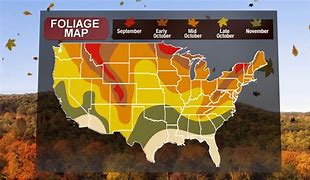 Image result for Fall Foliage Calendar 2023
