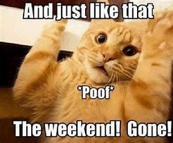 Image result for Bring On the Weekend Meme