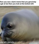 Image result for SUP Seal Meme