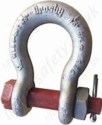 Image result for Lifting Shackles