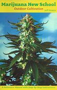 Image result for Marijuana Plant Outdoor Cover