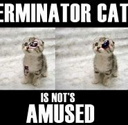 Image result for Funny Terminator Memes