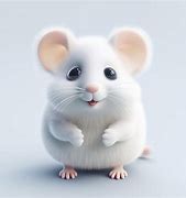 Image result for Funny Wallpapers White Mouse