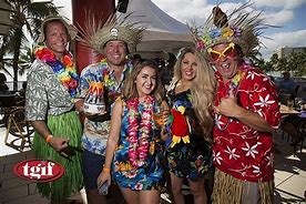Image result for Parrot Heads in Paradise