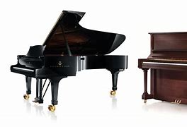 Image result for Musical Instruments Piano