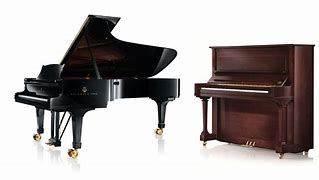 Image result for Stage Piano