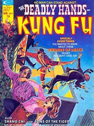 Image result for Deadly Hands of Kung Fu