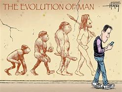 Image result for Evolution Funny