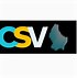 Image result for CSV Format Logo