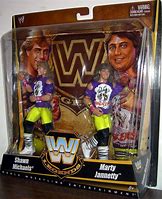 Image result for WWE Legends Action Figures