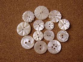 Image result for Flower Shell Buttons