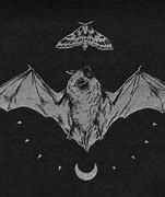 Image result for Bat Aesthetic