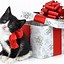 Image result for Happy Cat Wallpaper