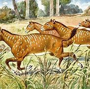 Image result for Ancient Horse Breeds