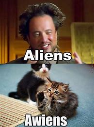 Image result for Alien Cat Meme