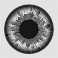 Image result for Purple Iris Eye