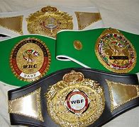 Image result for Championship Belt Case