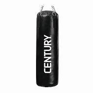 Image result for 100 Lb Heavy Bag