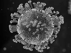 Image result for Coronavirus Gavin Newsom