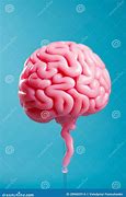 Image result for Universe Looks Like Brain