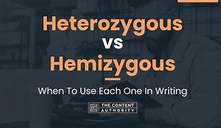 Image result for Hemizygoua