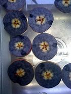 Image result for Apple Cells Iodine