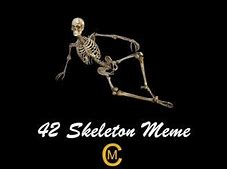 Image result for Don't Skeleton Meme