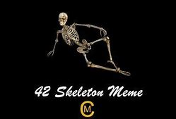 Image result for Skeleton Meme Sarrounding