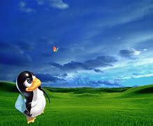 Image result for Linux Windows XP Wallpaper